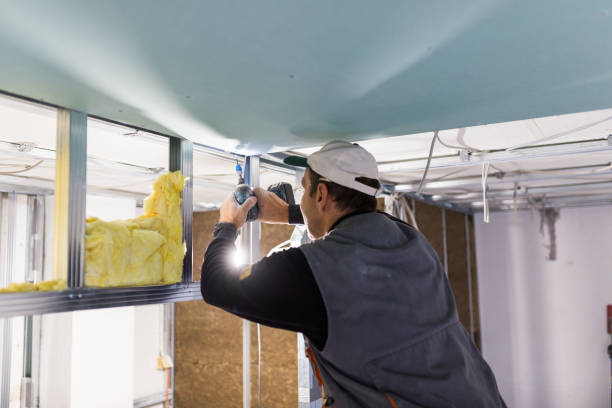 Best Commercial Insulation in Medina, WA