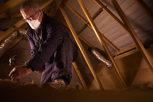 Best Specialized Insulation Services in Medina, WA